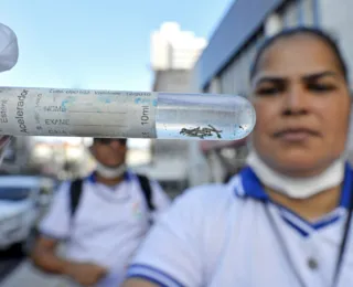 Salvador inicia “Semana municipal de mobilização contra o Aedes Aegypt