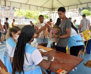 Salvador inicia campanha de vacinação antirrábica animal nesta segunda