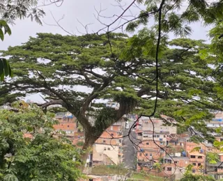 Salvador tem um tesouro que precisa de cuidados