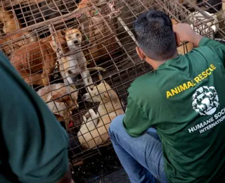 Tradicional mercado na Indonésia proíbe venda de carne de cães e gatos