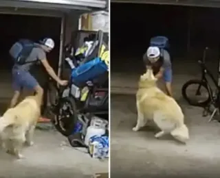 Vídeo: ladrão 'pausa' furto de bicicleta para fazer carinho em cão