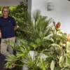 Jardins verticais levam a natureza para dentro de casa - Imagem