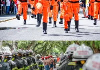 Anjinhos da Praia estreiam no desfile de 7 de setembro