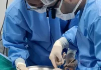 Bahia realiza primeiro transplante cardíaco após dois anos