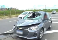 Boi atravessa a pista e colide com veículo na avenida Orlando Gomes