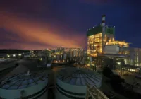 Bracell prorroga inscrições para Trainee com salário de R$ 7 mil