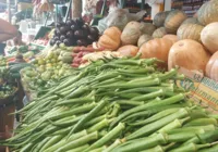 Busca por ingredientes para Caruru movimenta mercados de Salvador