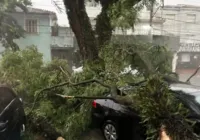 Chuva deixa cerca de 202 mil endereços sem luz em São Paulo