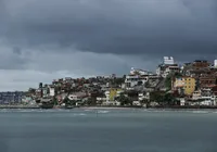 Chuvas e ventos fortes provocam queda de árvore na Garibaldi; vídeo
