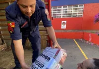 Clubes gaúchos fazem campanha de doações às vítimas das enchentes