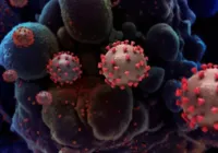 Covid-19: OMS levanta alerta sobre crescimento da variante Pirola