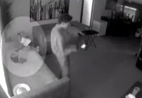 Criança de três anos atira na mão após encontrar arma no sofá