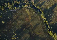 Desmatamento do Cerrado ameaça segurança hídrica de todo o Brasil