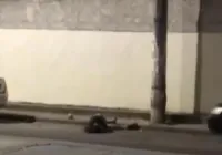 Dois homens são mortos a tiros na região da Cidade Baixa