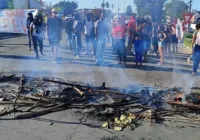 Estudantes da Uefs bloqueiam BR-116 durante protesto