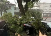 Evento climático deixa seis mortos em São Paulo