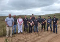 Força tarefa apreende mais de 300 kg de agrotóxicos em cidades baianas