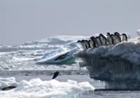 Gelo marinho da Antártica atinge baixa histórica no inverno