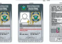 Governo cria identidade funcional para policiais penais dos estados