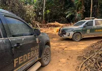 Ibama estabelece diretrizes de ações ambientais para 2024