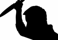 Idosa é atacada com golpes de faca pelo filho no DF