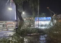 Inmet emite alertas de perigo na Bahia nas próximas 24h