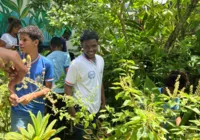 Jardim de chuva implantado em Colégio Estadual inspira música e clipe