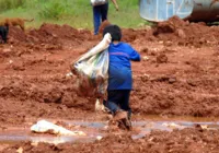Justiça condena Cargill em caso de rede de trabalho infantil na Bahia