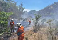 Mais de 200 bombeiros atuam no combate a incêndios florestais na Bahia