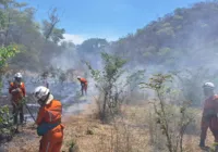 Mais de 200 bombeiros continuam no combate a incêndios florestais