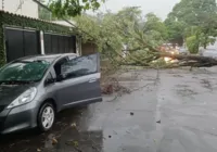 Mais de 400 mil pessoas seguem sem energia em São Paulo