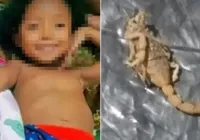 Menina de 5 anos morre após ser picada por escorpião