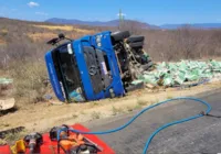 Motorista morre após caminhão com carga de alho tombar na BA-026