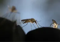 OMS aprova segunda vacina contra a malária para crianças