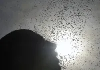 Onda de calor eleva consumo de energia em níveis recordes