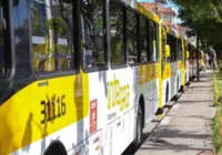 Ônibus voltam a circular normalmente no Nordeste de Amaralina