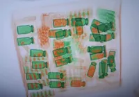 Operação Minotauro: PF faz operação contra quadrilha de anabolizantes