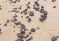 Orla de salvador é tomada por manchas de óleo