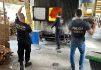 PF incinera mais de duas toneladas de drogas no sudoeste da Bahia