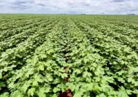 PIB da Bahia cresce 2,7% no segundo trimestre de 2023