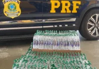 PRF apreende 516 frascos de 'lança-perfume' em Vitória da Conquista