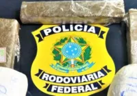 Polícia encontra 'combo' de drogas com mulher em ônibus; cão ajudou