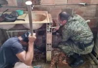 Polícia resgata jiboia presa dentro de casa em Cajazeiras V