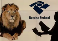 Saiba quando será liberada a consulta ao quinto lote de restituição