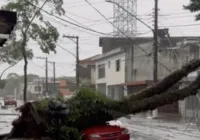 São Paulo cancela eventos ao ar livre devido risco de tempestade