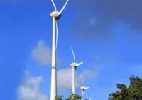 Um olhar verde para o futuro
