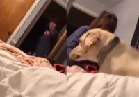 Vídeo: mãe manda cachorro para curar "coração partido" da filha