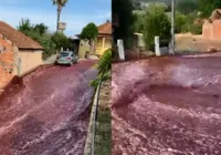 Vídeo: 'rio' de vinho inunda ruas de cidade em Portugal