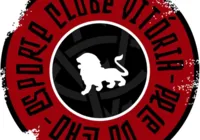 Vitória lança projeto para torcedor desenhar a nova camisa do clube