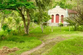 Caminho da Paz completa 20 anos de atividades - Imagem